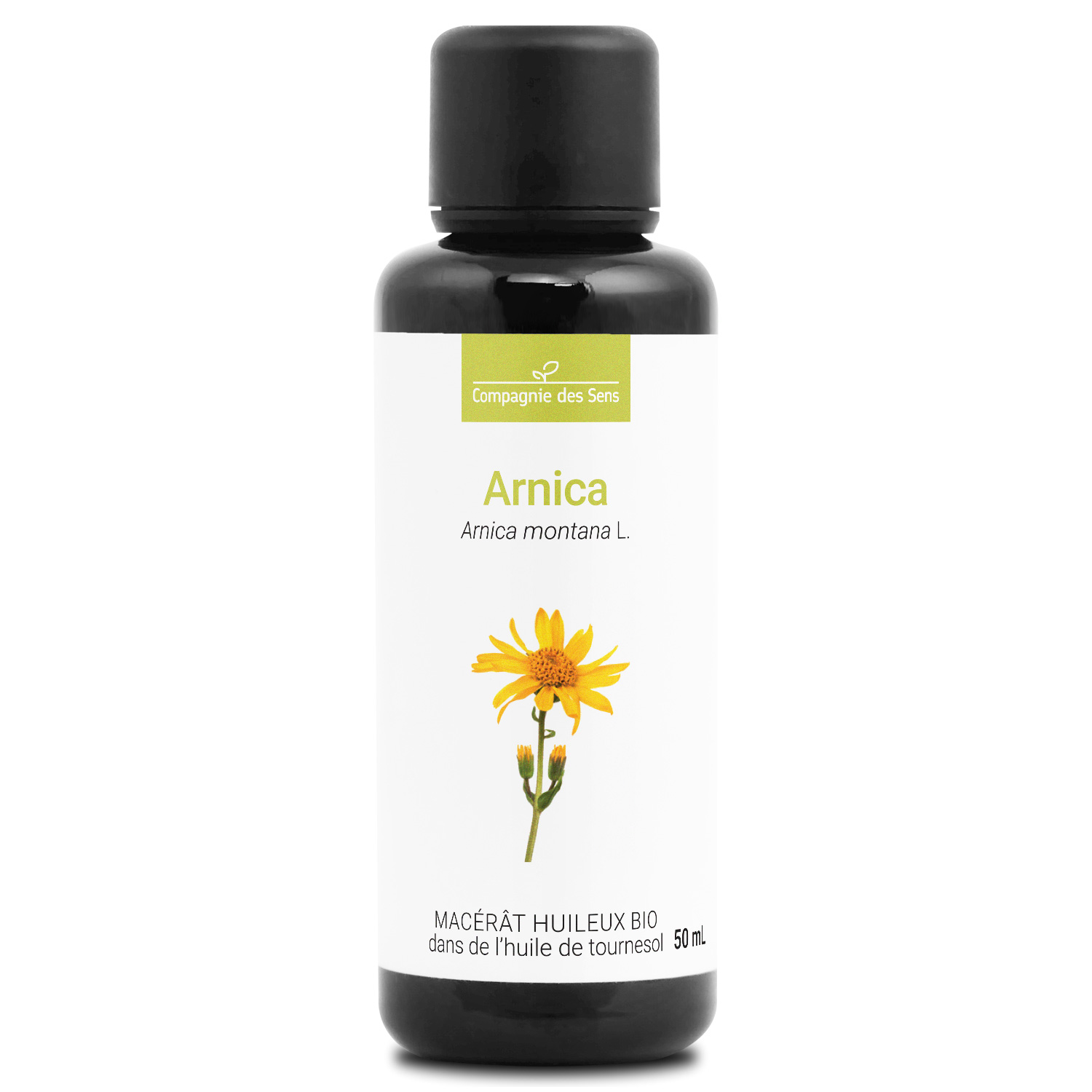 arnica